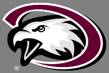 CSC Eagle Logo with white registered trademark symbol on gray background.